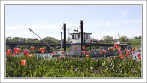 Crescent Bend | Blooms for the Cure - Knoxville, TN - Photographed by Wiselyn Photography